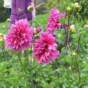 kfb Ausflug 2017 Pfarre Neumarkt im Mühlkreis
