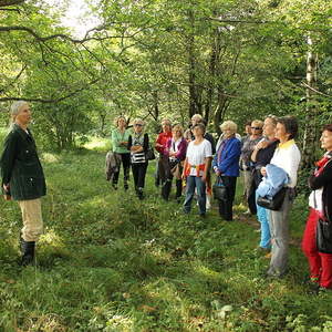 Ausflug der kfb 2014