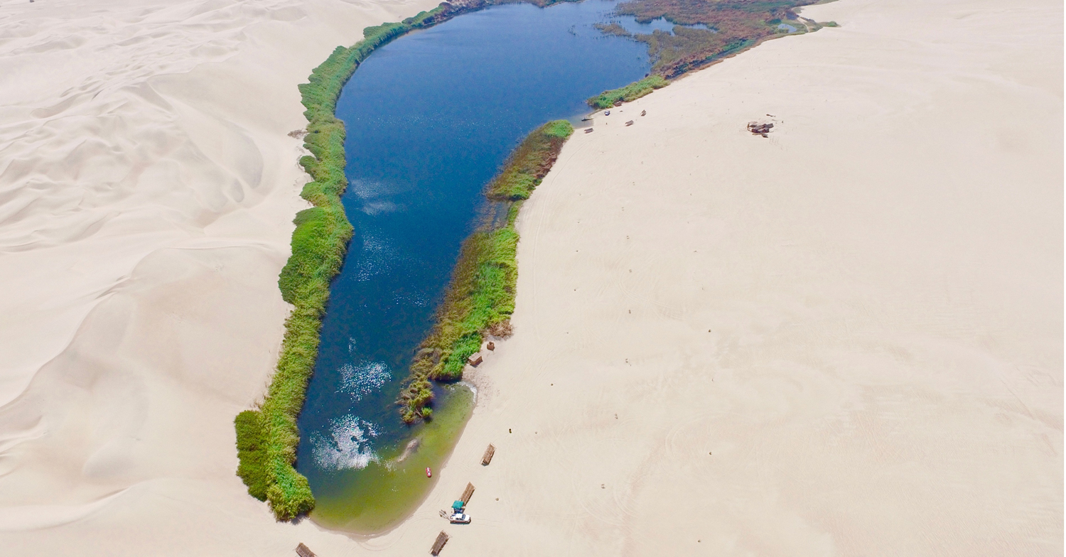 Oase in der Ica-Wüste (Peru)