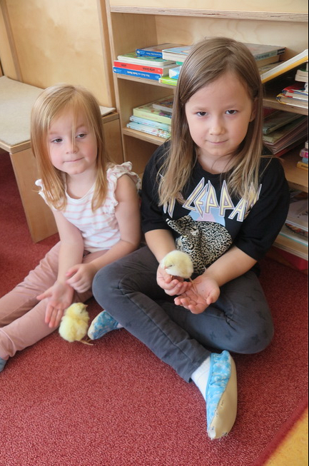 Tierischer Besuch / © Pfarrgemeinde Grein Tierischer Besuch