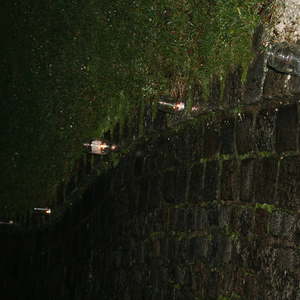 Adventfeier im Wasserwald