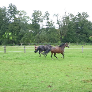 Pilgerwanderung 2022