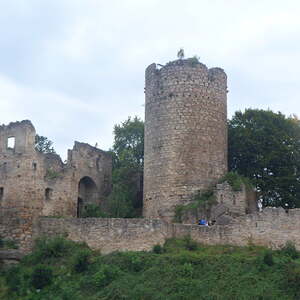 Pfarre Neumarkt im Mühlkreis