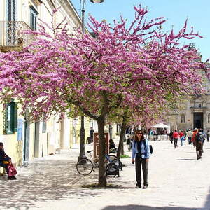 Pilgerreise nach Apulien