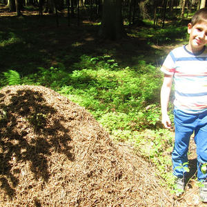 Sonnentor Kräuterdorf