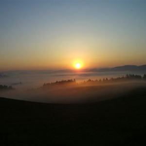 Fußwallfahrt nach Berg bei Rohrbach