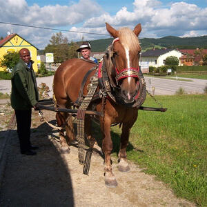 Ausflug der Pfarre Bruckmühl