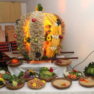 Pfarre Neumarkt im Mühlkreis