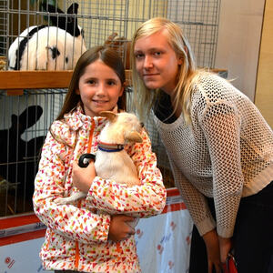 Fest des Hl. Franz von Assisi