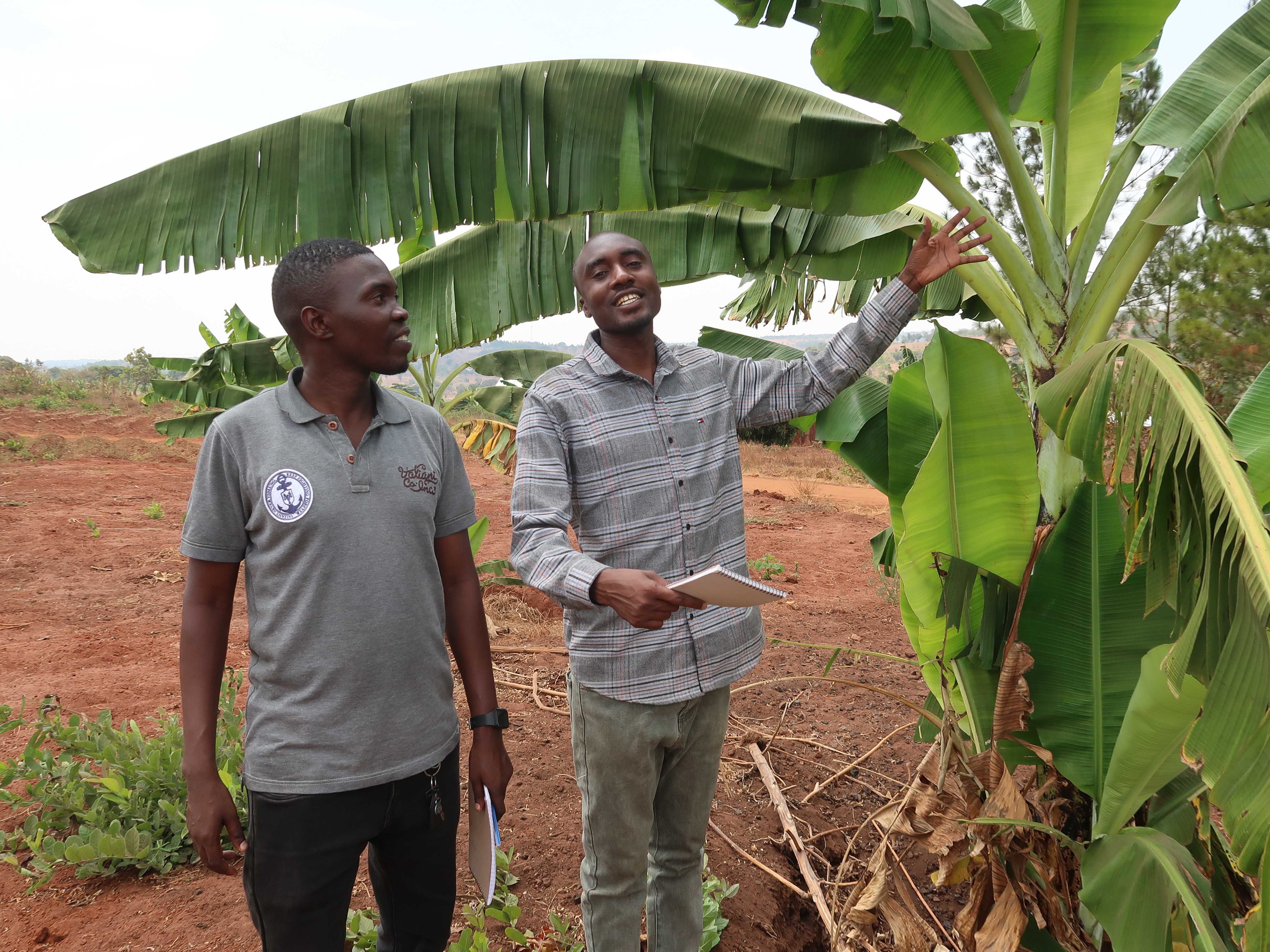 Human Life Defense Department (HLDD)                          