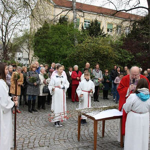 Palmsonntag in St. Quirinus