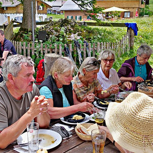 Vorarlbergreise der Kokuwawis