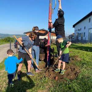 Maibaum, wo bist du?