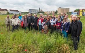 Die Wandergruppe mit Bischof Manfred, im Hintergrund die Türme von Wels-Herz Jesu