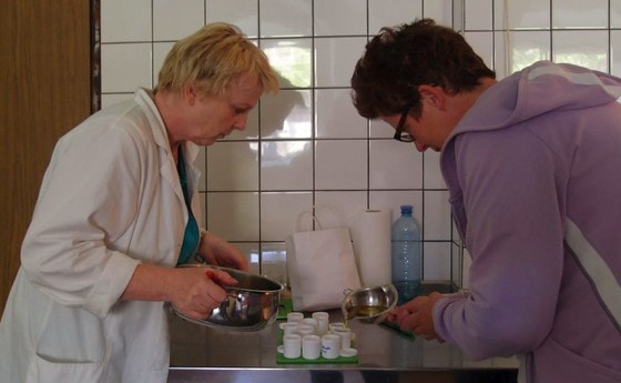 Kräutersalben selber machen