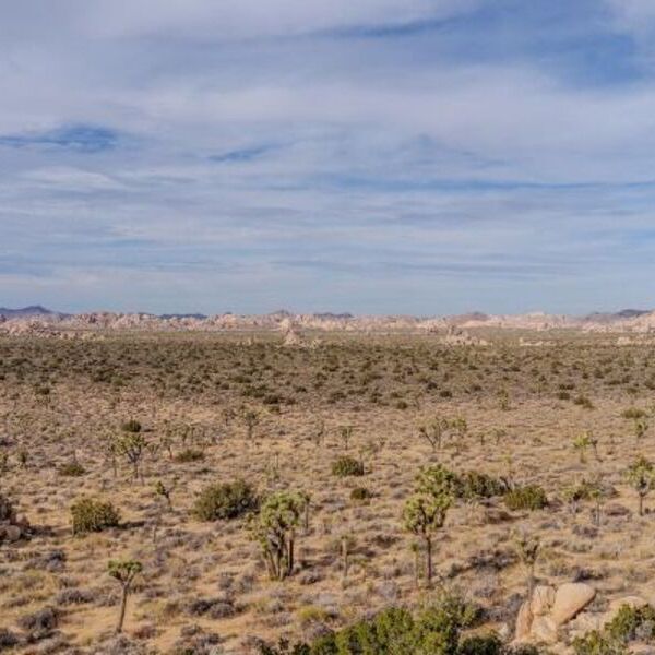 Desert / © Nick_the_photographer Desert