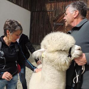 Pilgerwanderung 2022