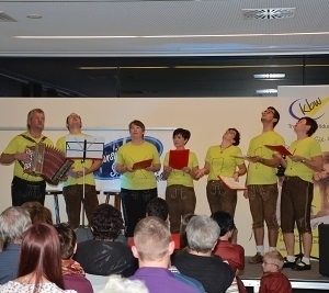 'Hansinger-Superstars'