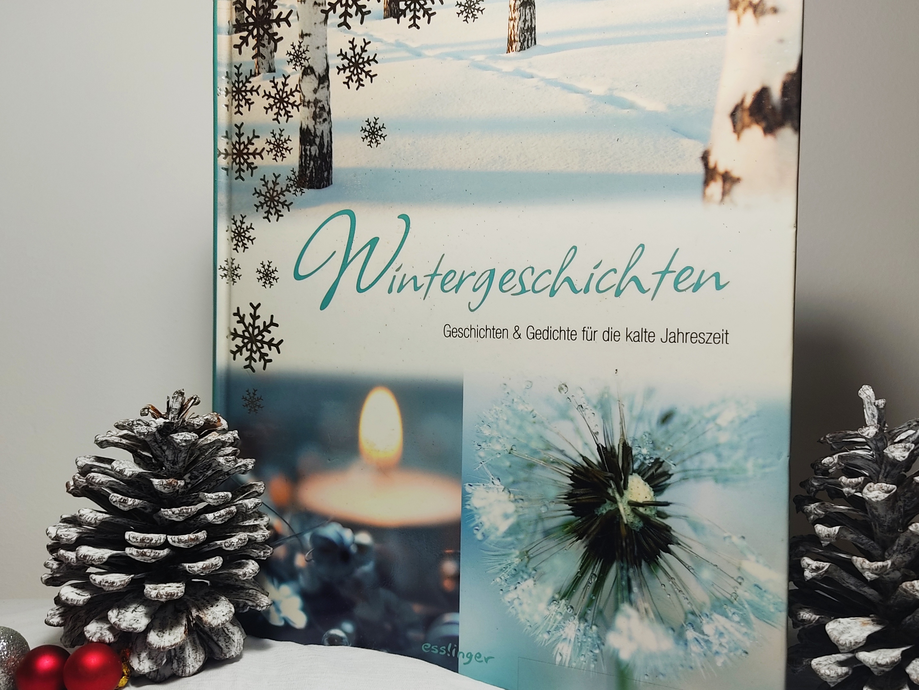 Buch Wintergeschichten