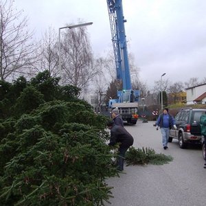 Unser Christbaum