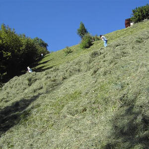 Pfarrwallfahrt Südtirol