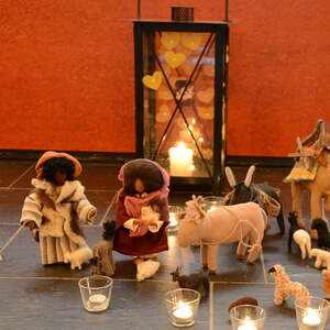 'Barmherzigkeit - gut mit der Schöpfung umgehen'