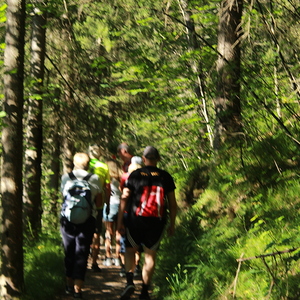 Wallfahrt nach Steyr Ursprung