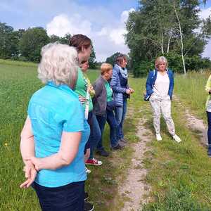 Essbare Frühlingswiese