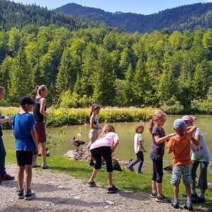 'Ich & du, Müllers Kuh, Müllers Esel - bin ich nicht'