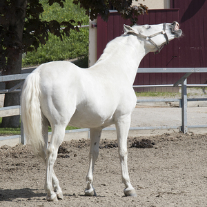 Pilgerreise Stmk - Tag 2