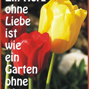 Textbilder für den Jahreskreis der Kirche