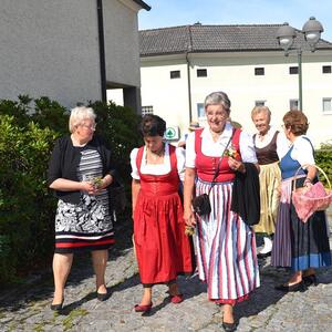 30 Jahre Goldhaubengruppe Haibach