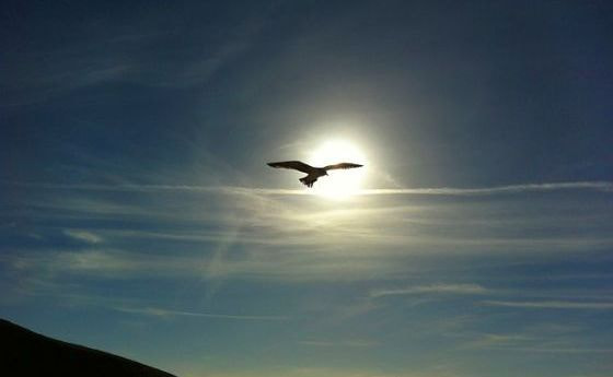 Loslassen und frei sein