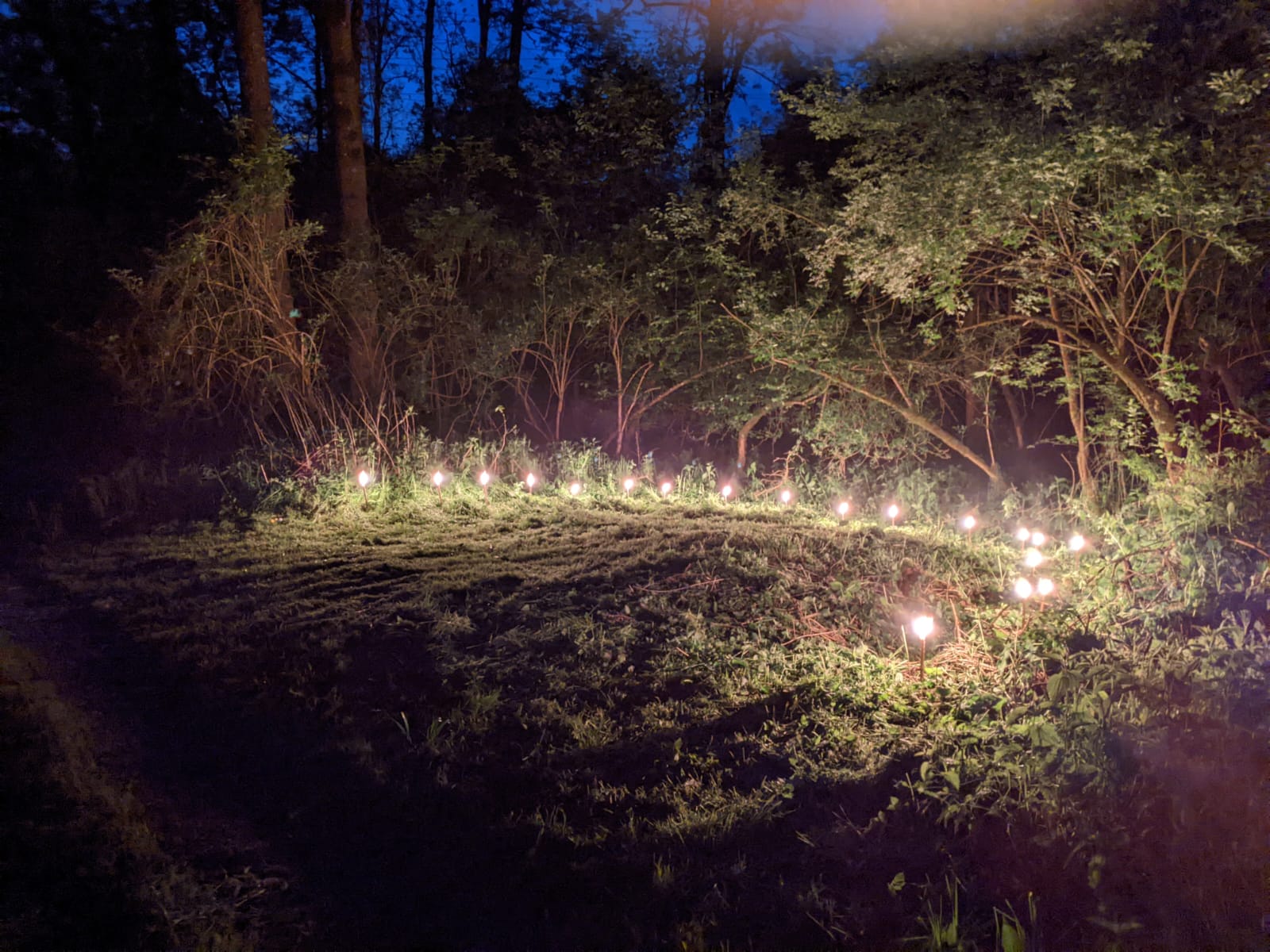 Nightline am 12. Mai 2023 / © Firmvorbereitungsteam Alkoven-Schönering