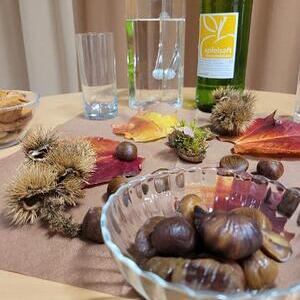 Reisebrericht Chalupka