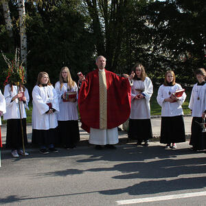 Palmweihe und Festzug