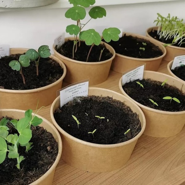 © Bibliothek St. Johann am Walde