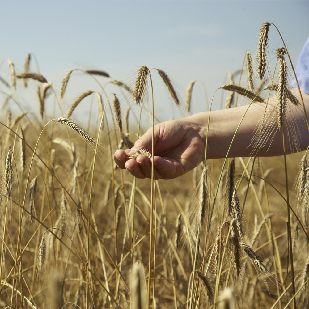 Garten der Schöpfung