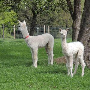 Pilgerwanderung 2022