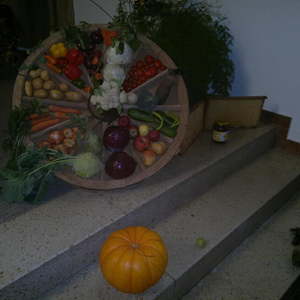 Foto: © Pfarre Oberkappel;  Erntedank- und Pfarrfest 2015