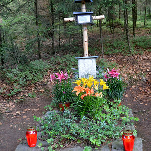 Gedenkfeier Fliegerkreuz in Entholz