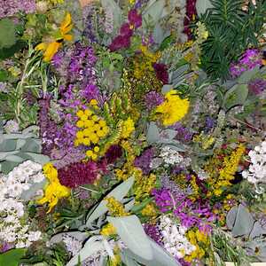 Kräutersegnung 2024