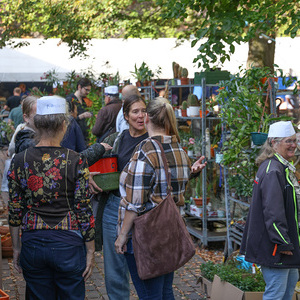 Flohmarkt