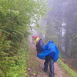 Starker Wind und Regen