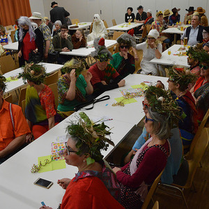 Bilder vom Pfarrfasching 2020 in Putzleinsdorf