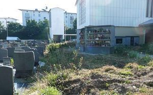 Weiterbau der Grünanlage