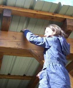 Osternacht und Ostersonntag 