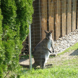 Ökum. Pilgerwanderung