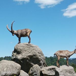 Ministranten Ausflug - 2022