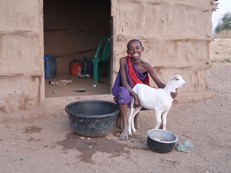 TV-Tipp zum Sternsingen 2026                            